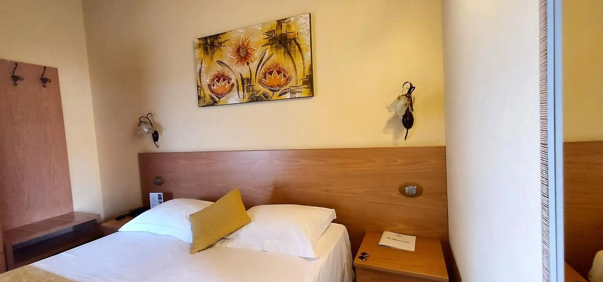 Hotel Mayer & Splendid - Wellness E Spa 代森扎诺-德尔加达 4*,  意大利